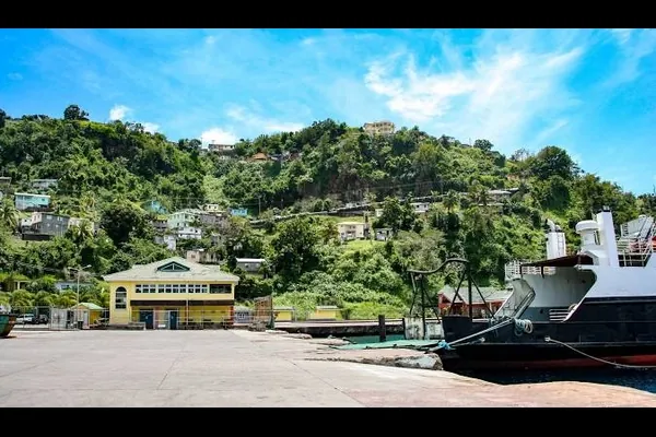 سانت فنسنت وجزر غرينادين - 7 أيام - غير محدود