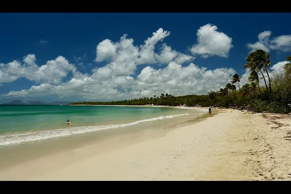 马提尼克岛 - 20 天 - 无限次